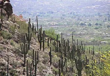 Hotel Sonesta Es Tucson